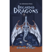 Discarded Dragons: An Adventure Story