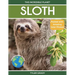 Sloth: Fascinating Animal Facts for Kids