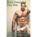 Stud Detective Gay Sex