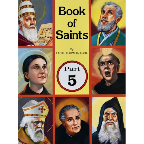 Book of Saints (Part 5): Super-Heroes of God Volume 5 - Paperback
