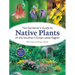 The Gardener's Guide to Native Plants of the Southern Great Lakes Region