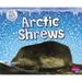 Arctic Shrews