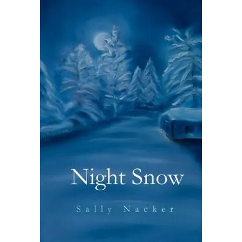 Night Snow
