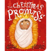 The Christmas Promise Board Book