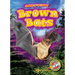 Brown Bats