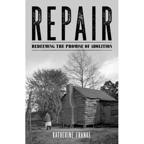 Repair: Redeeming the Promise of Abolition