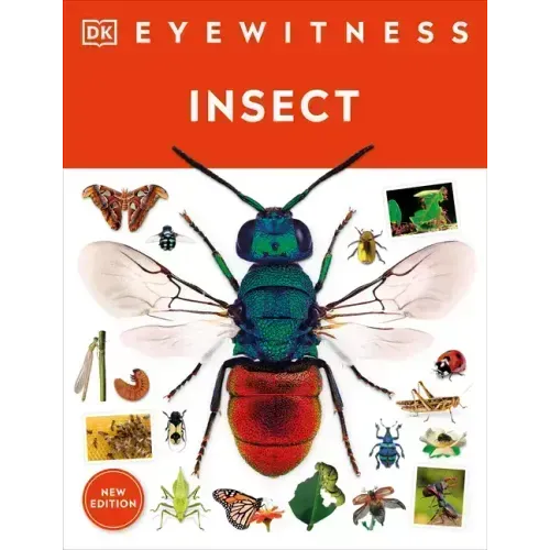 Eyewitness Insect