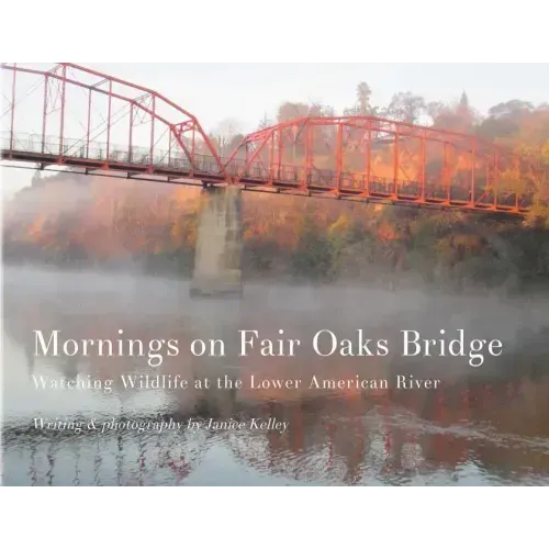 Mornings on Fair Oaks Bridge: Watching Wildlife at the Lower American River