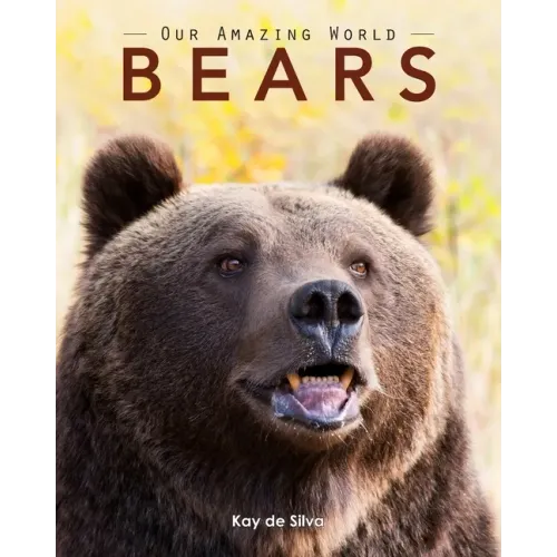Bears: Amazing Pictures & Fun Facts on Animals in Nature