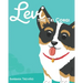 Levi the Tri Corgi