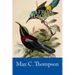 Birds from North Borneo