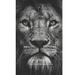 El León Del Rey