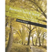 Beneath Sun & Stars: Where life and dreams live