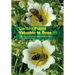 Garden Plants Valuable to Bees