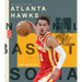 The Story of the Atlanta Hawks