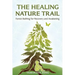 The Healing Nature Trail: Forest Bathing for Recovery and Awakening