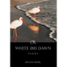 White Ibis Dawn