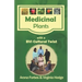 Medicinal Plants with a BVI Cultural Twist