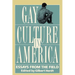 Gay Culture in America: Essays from the Field