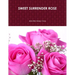 Sweet Surrender Rose