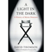 A Light in the Dark: A History of Movie Directors