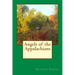 Angels of the Appalachians