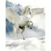 Unicorn Notebook: 100 Pages 8.5" X 11" Wide Ruled Line Paper
