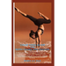 Chair Yoga Guide for Both Young and Seniors: A Quick and Simple Manual for Beginners on Best Chair Yoga Poses and Healthy Exercise Techniques to Build