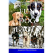 Fun Dog Facts for Kids 9-12