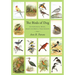 The Birds of Dog: An Historical Novel Based on Mostly True Events