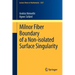 Milnor Fiber Boundary of a Non-Isolated Surface Singularity