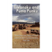 Tiwanaku and Puma Punku: The History and Legacy of South America's Most Famous Ancient Holy Site