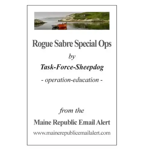 Rogue Sabre Special Ops: by Task-Force-Sheepdog - operation-education -