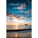 Islands of Sunshine and Shadow