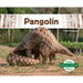 Pangolin (Pangolin)