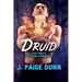 Druid: Book Three of the Druid Chronicles