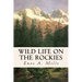 Wild Life on the Rockies