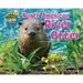 North American River Otter
