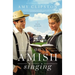 An Amish Singing: Four Stories