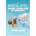 Axolotl Iceberg Adventures in Minecraft