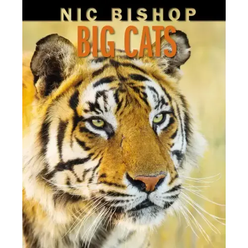 Nic Bishop Big Cats