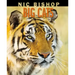 Nic Bishop Big Cats