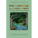 Encounters with Nature Spirits: Co-Creating with the Elemental Kingdom