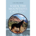 When the Mountains Call You