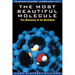 The Most Beautiful Molecule: The Discovery of the Buckyball
