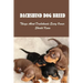 Dachshund Dog Breed: Things About Dachshunds Every Owner Should Know: Can You Breed A Mini Dachshund With A Standard