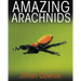 Amazing Arachnids