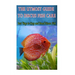 The Utmost Guide to Discus Fish Care: Best Ways to Keep and Breed Discus Fish