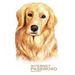 Internet Password Organizer: Golden Retriever Dog (Password Log Book)