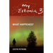 My Estonia 3: What Happened?